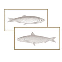 Vintage Fish Line Art Pair