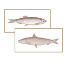 Vintage Fish Line Art Pair