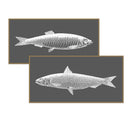 Vintage Fish Line Art Pair