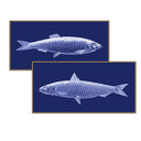 Vintage Fish Line Art Pair