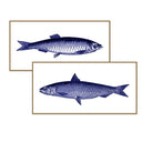 Vintage Fish Line Art Pair