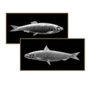 Vintage Fish Line Art Pair