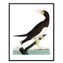 Vintage Seabird