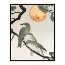 Three Birds and the Moon