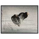 Two Birds in the Reeds