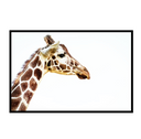 Giraffe at Peace