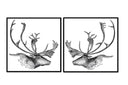 Caribou Profile Vintage Illustration Pair