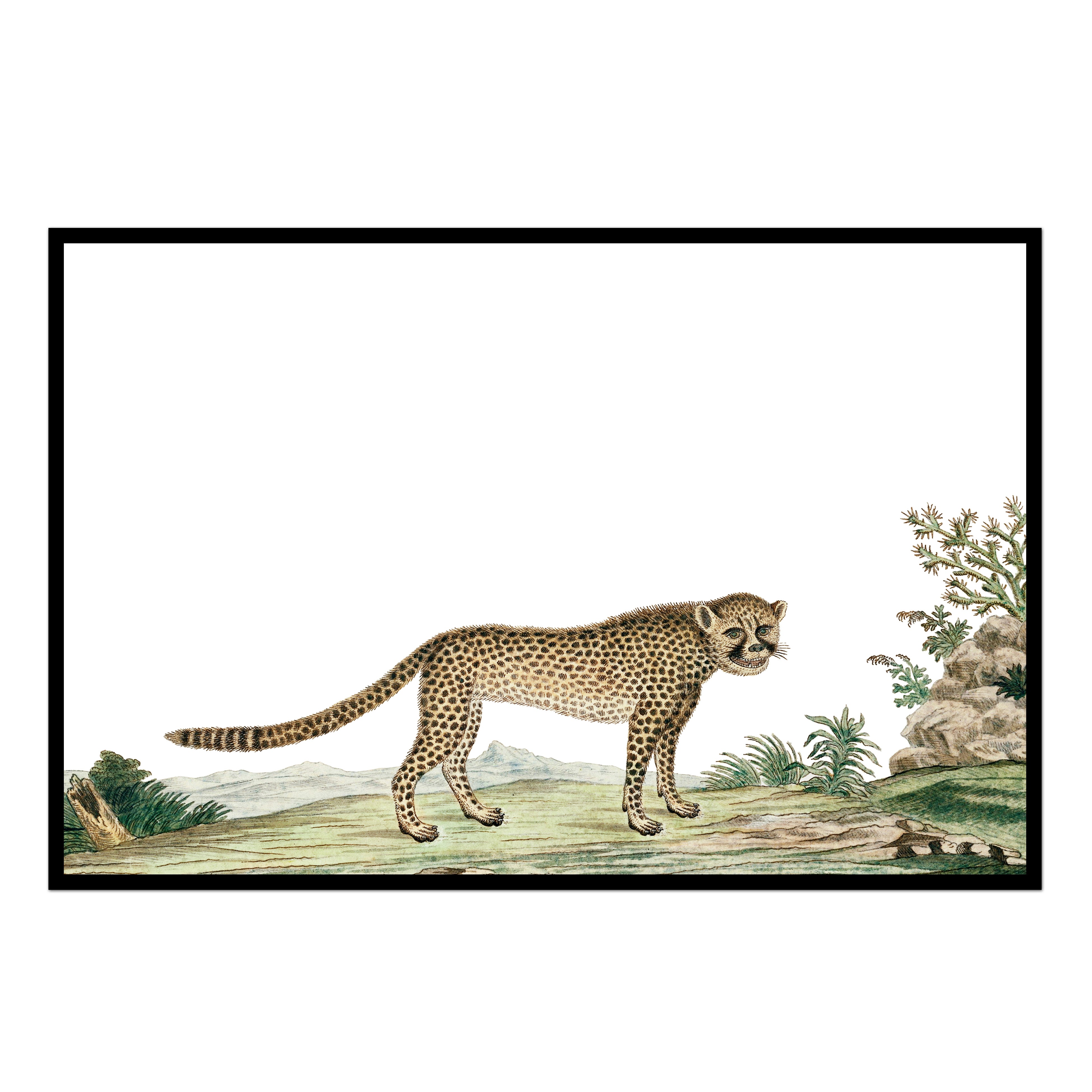 Cheetah Animal Print Retro VSCO stars Art Print for Sale by The-Goods