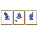 Fern Trio