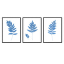 Fern Trio