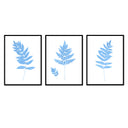 Fern Trio