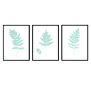 Fern Trio