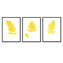 Fern Trio