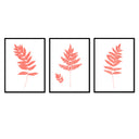 Fern Trio
