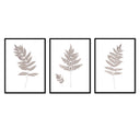 Fern Trio