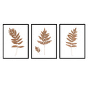 Fern Trio