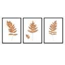 Fern Trio