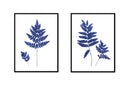 Fern Pair