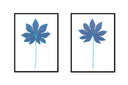 Fatsia Stalk Pair