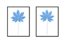 Fatsia Stalk Pair