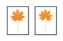 Fatsia Stalk Pair