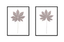 Fatsia Stalk Pair