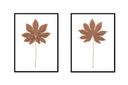 Fatsia Stalk Pair