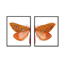 Split Orange Dragonfly