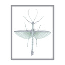 Walking Insect