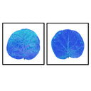 Seagrape Leaf Pair