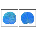Seagrape Leaf Pair