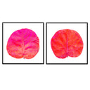 Seagrape Leaf Pair