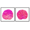 Seagrape Leaf Pair