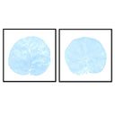 Seagrape Leaf Pair