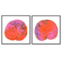 Seagrape Leaf Pair