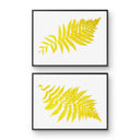 Australian Tree Fern Pair