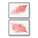 Australian Tree Fern Pair