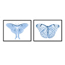 Hued Butterflies Pair