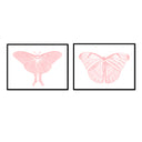 Hued Butterflies Pair
