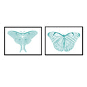 Hued Butterflies Pair