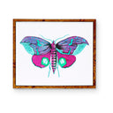 Forest Moth