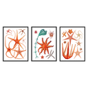 Vintage Starfish Set of 3