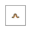 Insect Collection