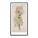 Vintage Tree Sketch