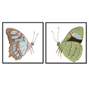 Butterfly Flight Pair