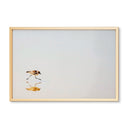 Minimalist Tiny Shorebird