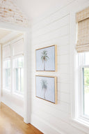Coastal Palms