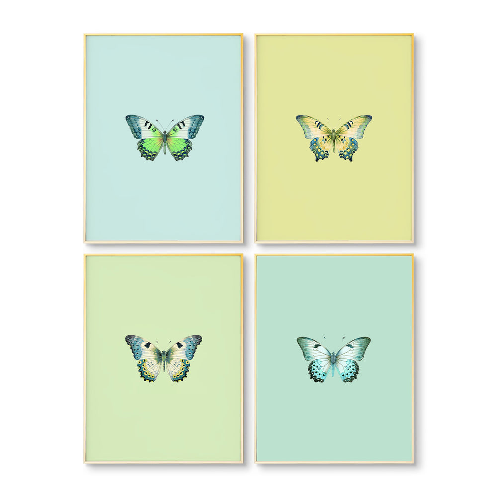 Joie du Papillon Set of 4 No.1