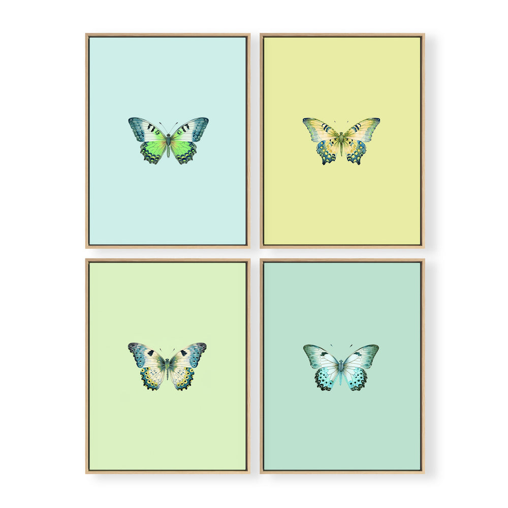 Joie du Papillon Set of 4 No.1