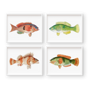Bright Vintage Fish Set
